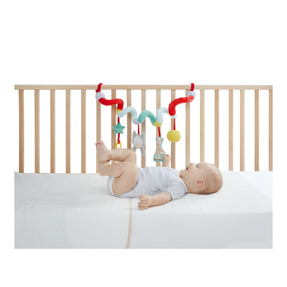 Boulier spirale – vue complémentaire 1