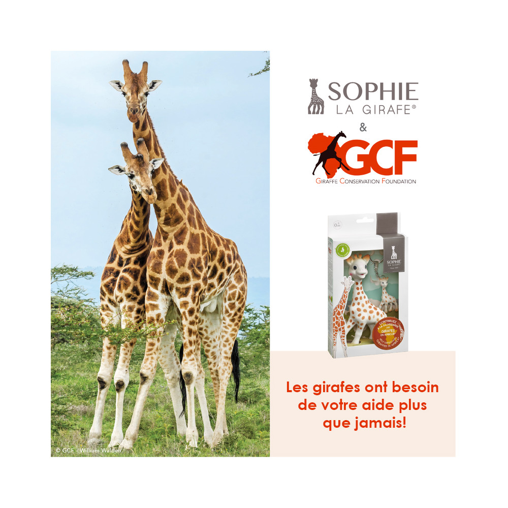 Coffret 'Sauvons les girafes' – vue complémentaire 1