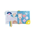Coffret de naissance – vue complémentaire 3