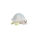 Margot la tortue – vue complémentaire 1